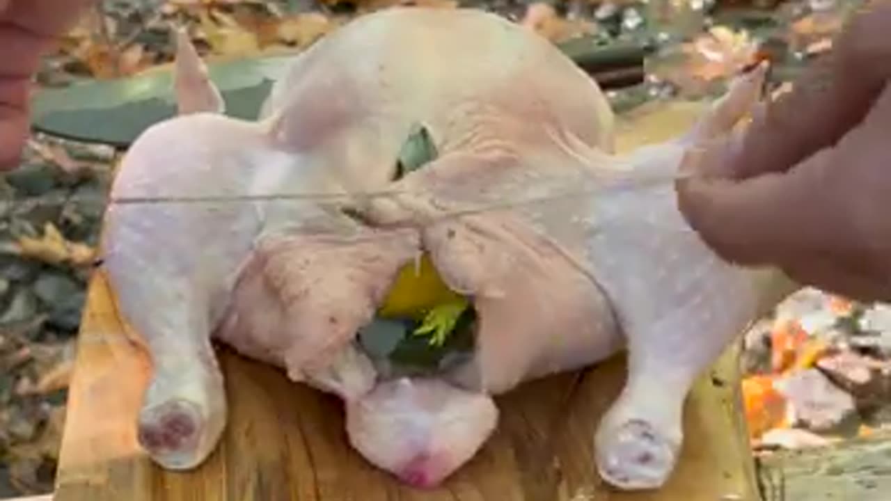 Roasted Chicken in Nature | Bushcraft Style Cooking | ASMR