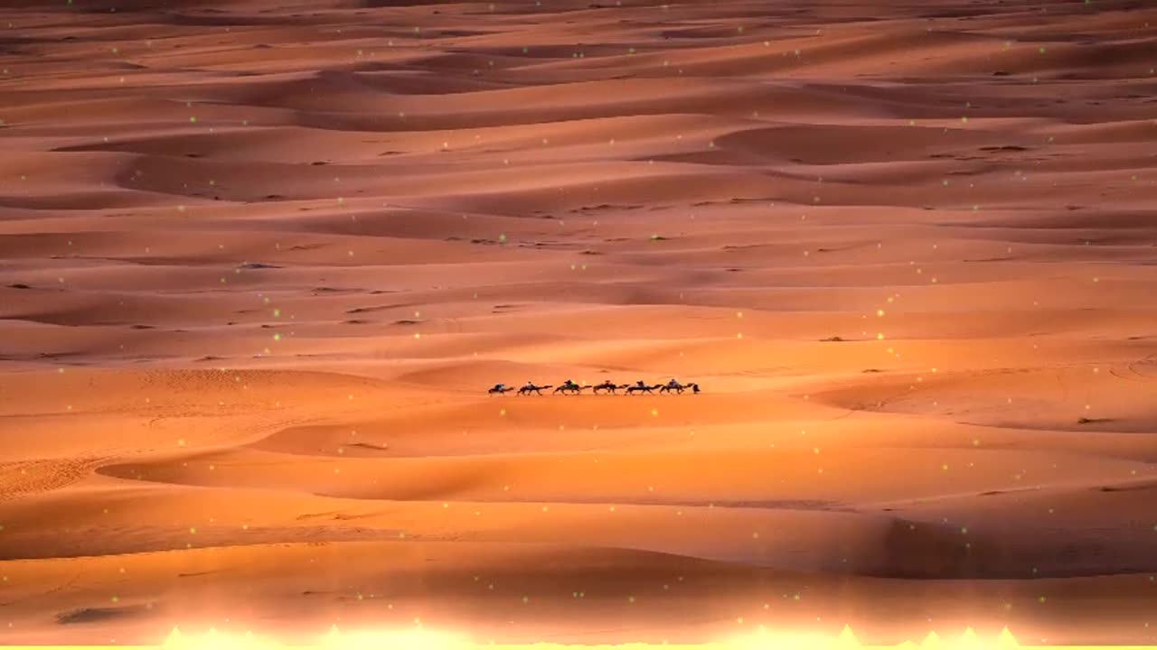 savage you are my chocolate