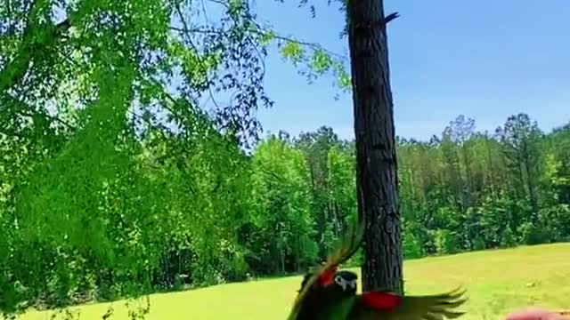 slowmo#slowmotion