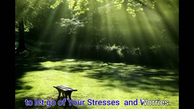 Best Stress Managment | Ways to relieve stress| Amazing Story.