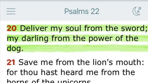 Military dogs!!!….