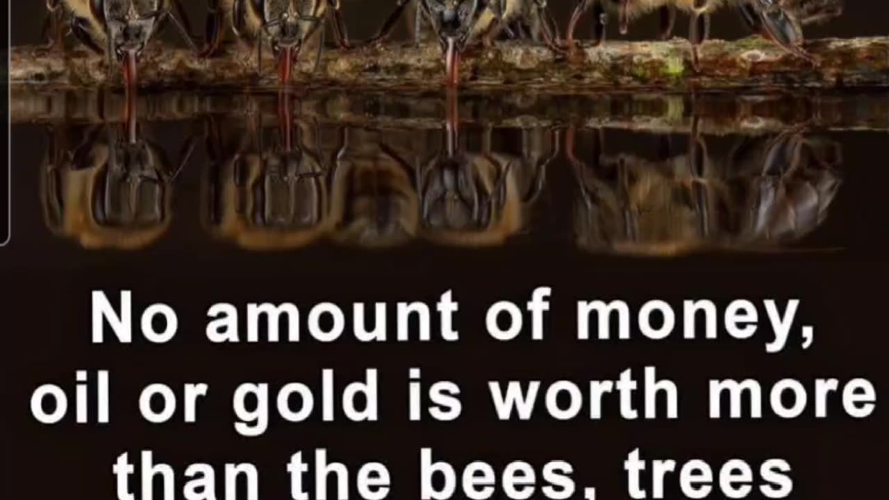 Bees = Life