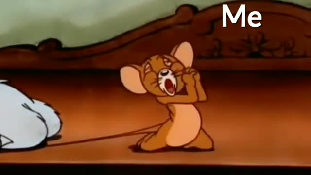 tom and jerry cartton video