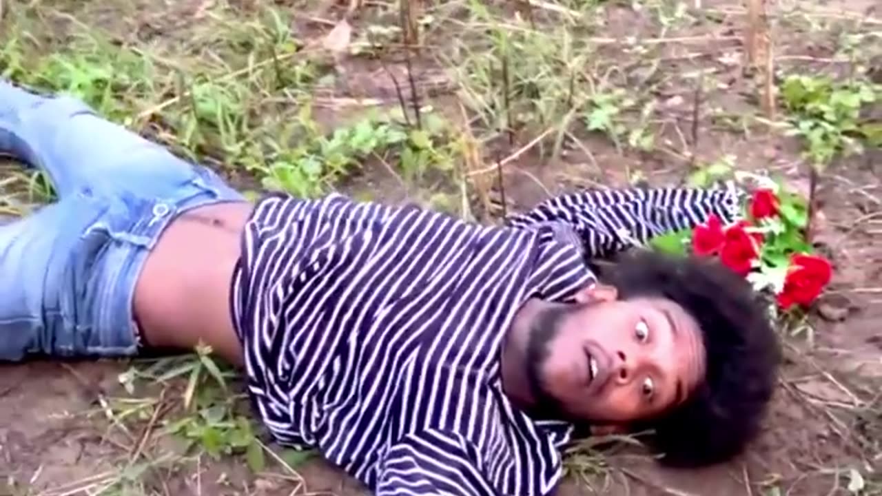 Funny Video #funny