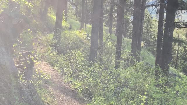 Wednesday Motivation Part 2