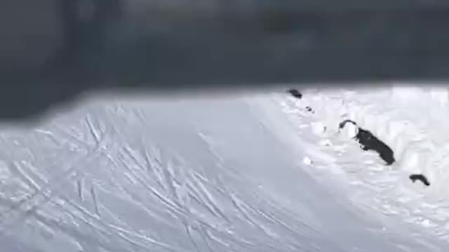 snow mountain skiing