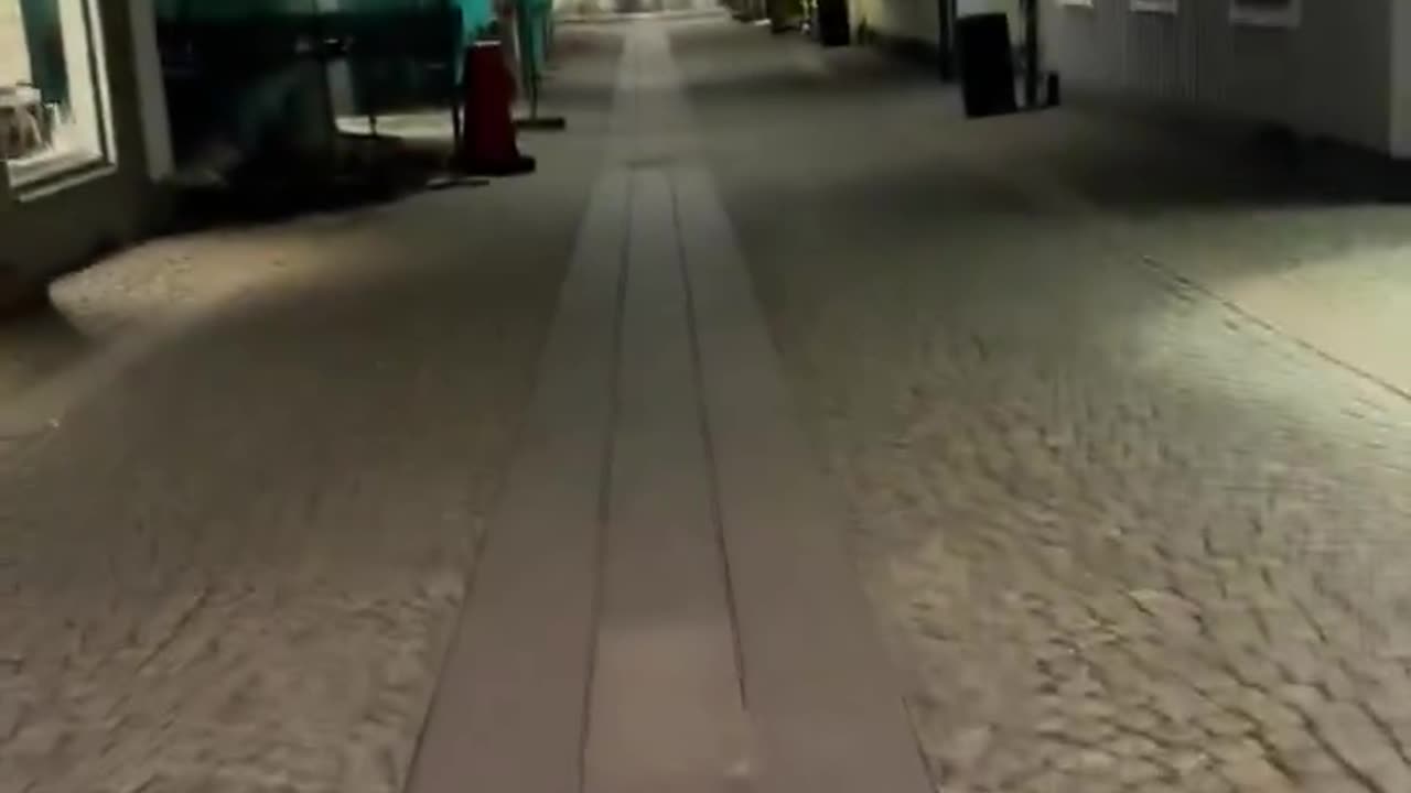 Who let the dogs out 4