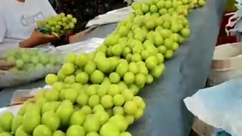 Harvest Muscat Grapes #fruitgarden #harvesting