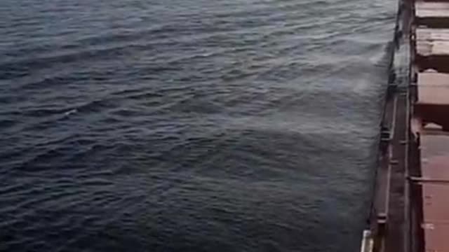 HOW A TSUNAMI LOOKS LIKE AT SEA🧐