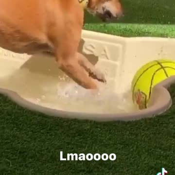 They think iam crazy playing alone.mp4