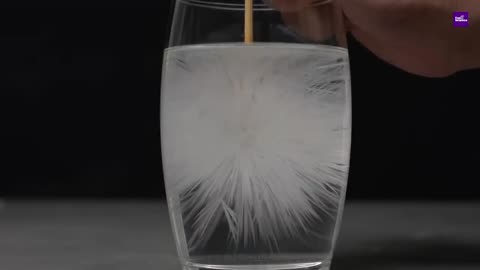 33 amazing science experiment#