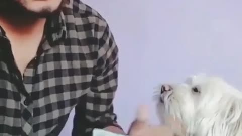 So funny, watch what the dog did to help a friend count the money