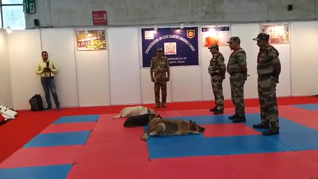 CISF Demonstration of dogs squad