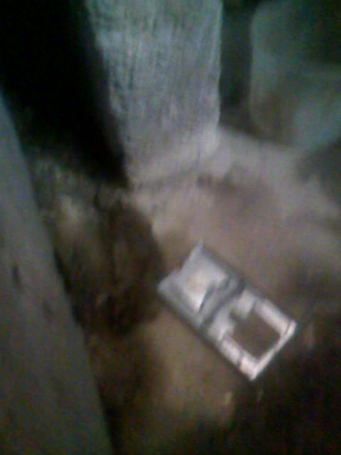 Pegando rato na ratoeira