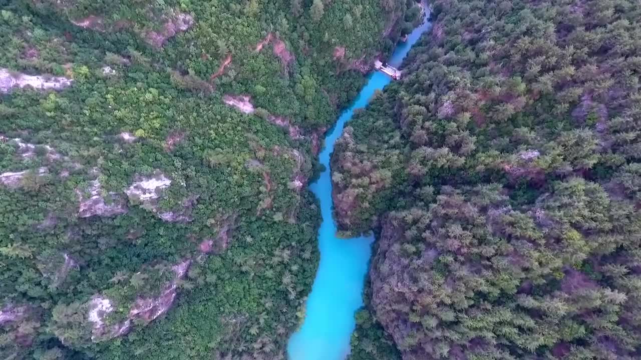 Sounds of the Amazon, relax listening and rest your mind and body