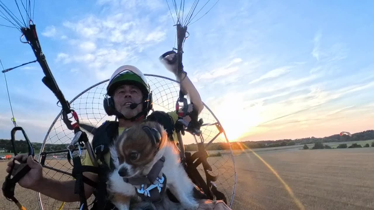 Molly the Pomeranian Flight Navigator