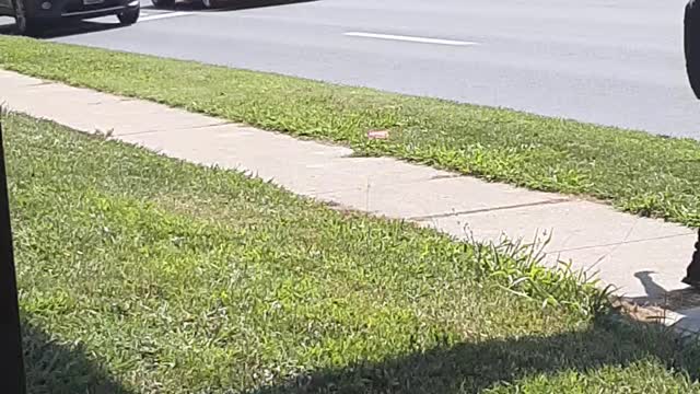 Spotting a huracan on the street
