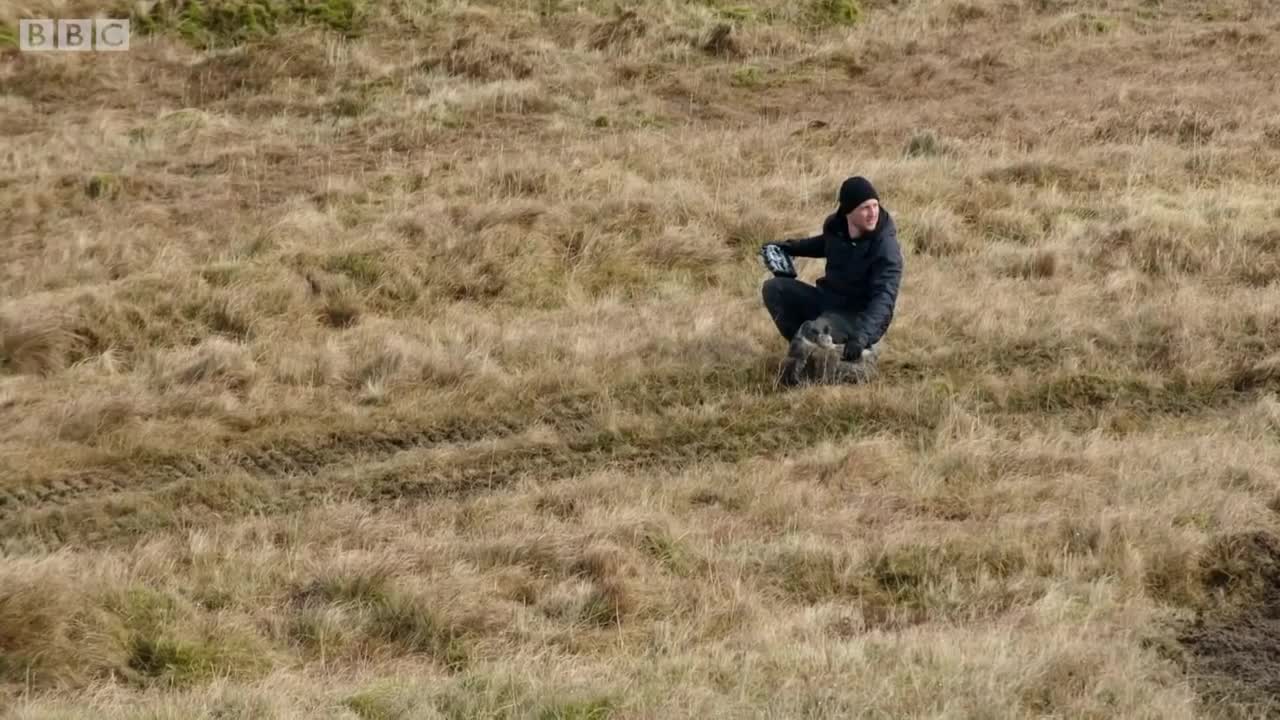 Powerful Eagle Hunts Robot Hare | Super Powered Eagles | BBC Earth