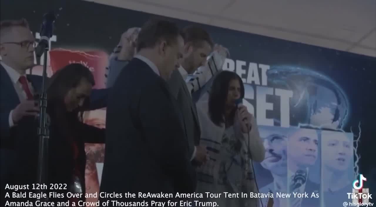 美國國鳥 - 白頭鷹