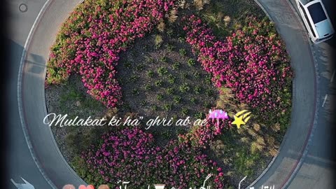 Izhar Hua hame bhe pyar hua - Whatsapp Status
