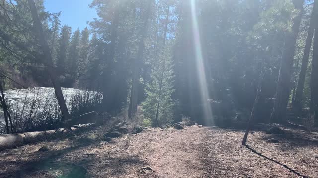 Forest Hiking Alongside Beautiful Metolius River – Central Oregon