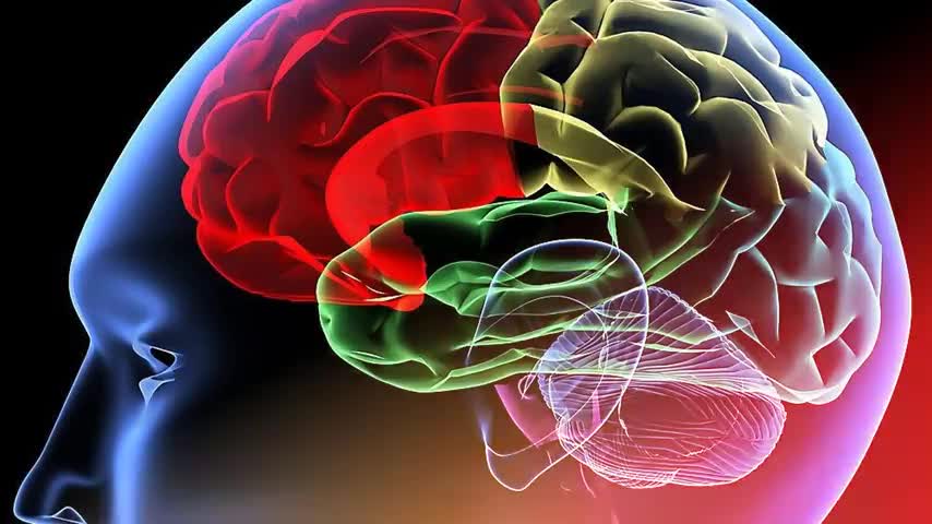 Part 1 of a 4-part series about Covid-19 by Janet Ossebaard and Cyntha Koeter