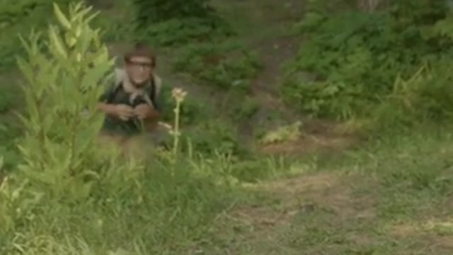 Boy Scouts Looking at Wild Ducks
