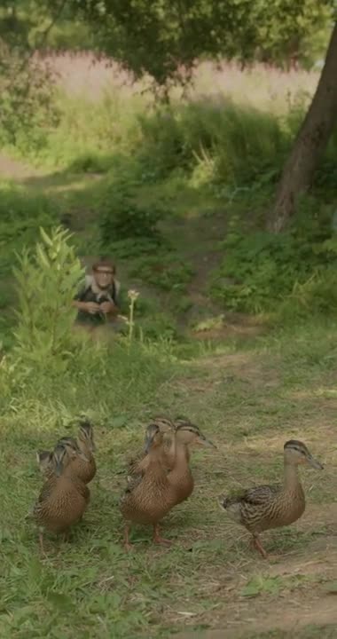 Boy Scouts Looking at Wild Ducks