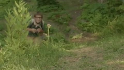 Boy Scouts Looking at Wild Ducks