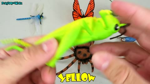 L4UU ABC Song and more Music Videos for kids