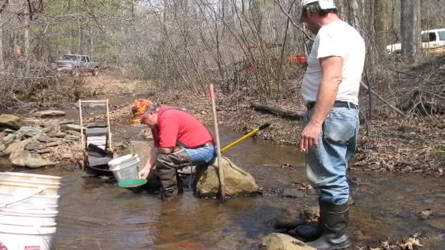 VA Gold On the Creek Tongue Quarter Creek Buddy March 2008