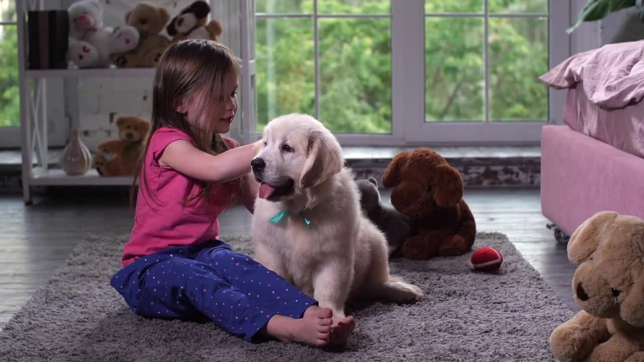 Playful preadolescent girl spending morning leisure playing together with sweet fluffy puppy sitting