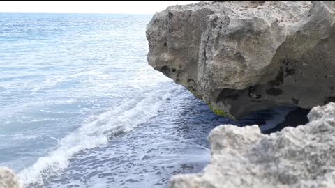 Beautiful day on Valentine's Day