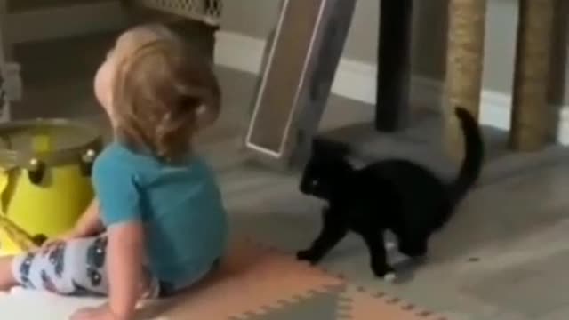 Funny cat play with kid