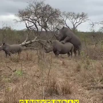 What they are doing🤔