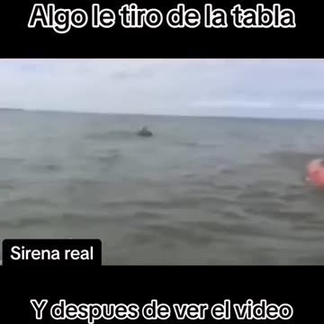 SIREN? VERY STRANGE 🤔 or hoax