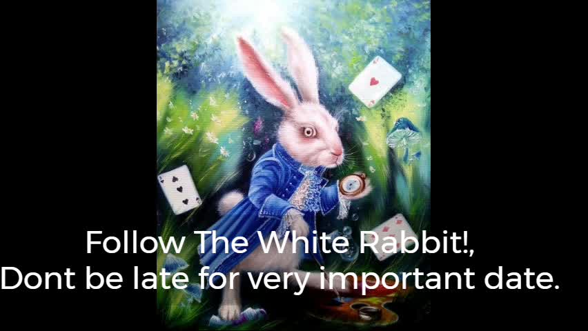 Hello October Follow The White Rabbit.