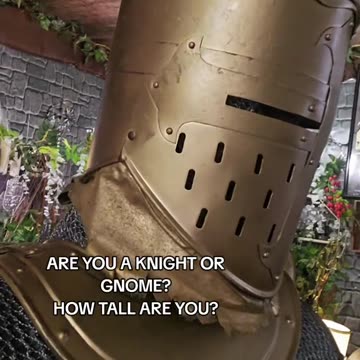 Gnome or Knights 🏰🤺🔥🔰