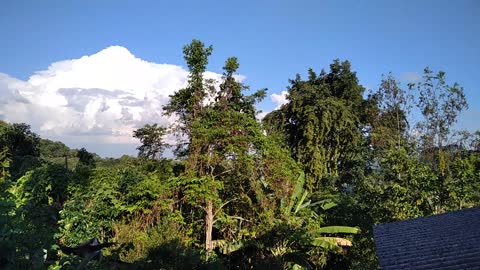 Natureza perfeita