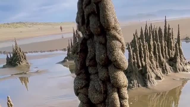 New ways to play on the beach