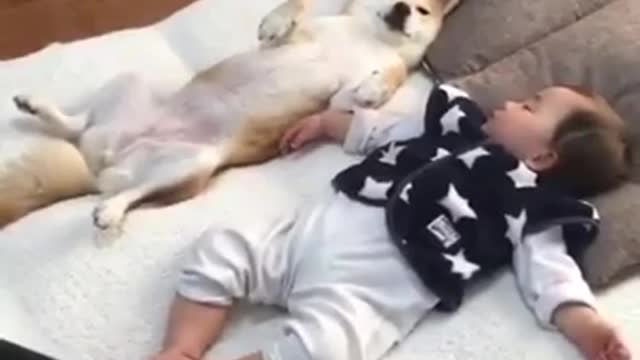 Lindo bebé duerme con perro