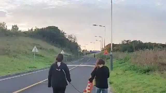 walking with dog