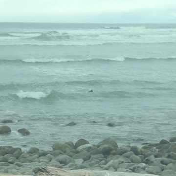 Guy surf boarding in full dive gear