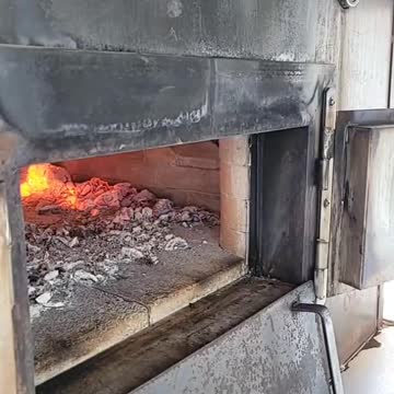 funny|prank|jokes|funny jokes|dad jokes|funny memes|funny video|fun|laughing|funny animal|knock