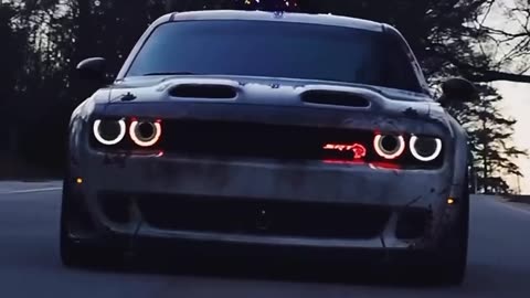 Best X for Cars stunts show
