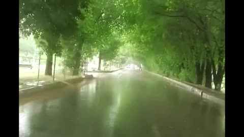 Rain and drive