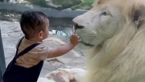 Funny video