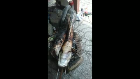 Grilled snakehead fish is super attractive