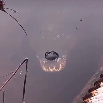 there is little care