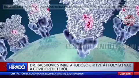 BIOLABORBÓL SZÁRMAZÓ BETEGSÉGEK - KÜLÖNÖS DOLGOK - Info Bubble videoja